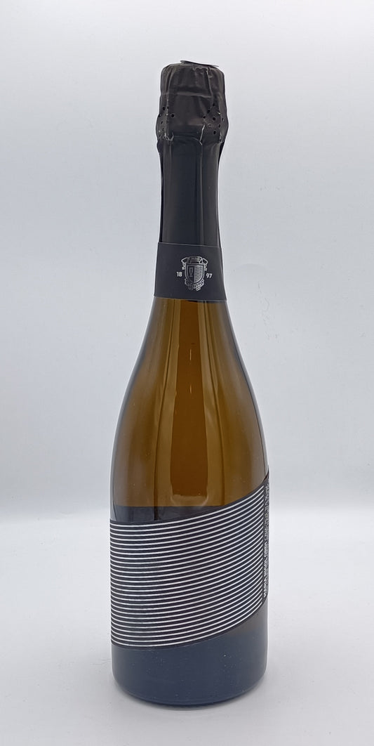 Cava Maria Rigol Ordi Mil·lenni