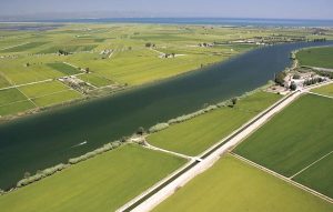 Lee más sobre el artículo Reserva de la Biosfera de les Terres de l’Ebre