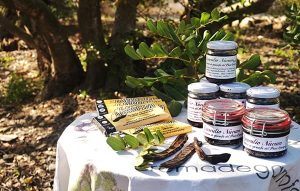 Lee más sobre el artículo La garrofa i les seves meravelloses propietats