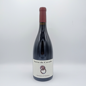 Vi negre Serra de Cavalls Ánfora