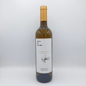 Vi blanc criança Serra de Cavalls